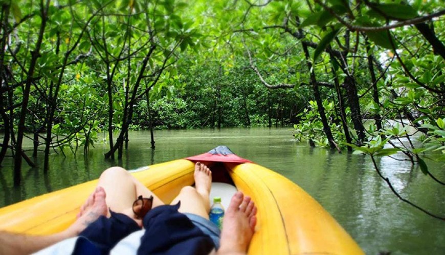 Eco-Friendly Boat Tours in Phuket