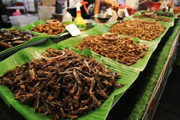 Experience Phuket at the original Phuket Weekend Market Simba Sea Trips