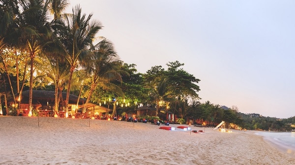 The Epic Phuket Nightlife : What to Expect Simba Sea Trips