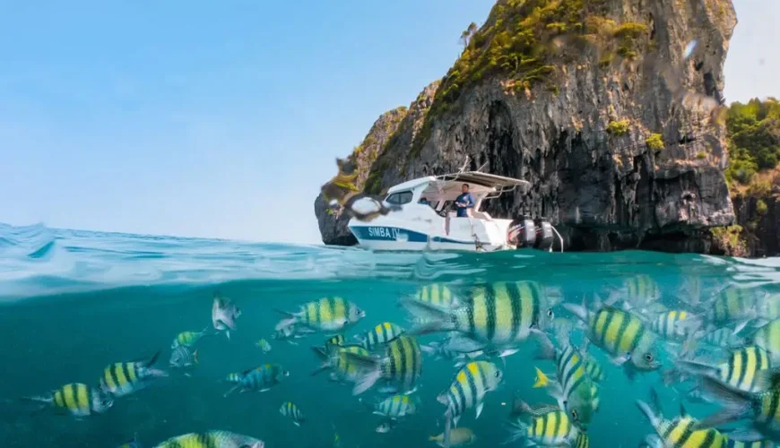 Best ways to Celebrate a Special Occasion in Phuket Simba Sea Trips
