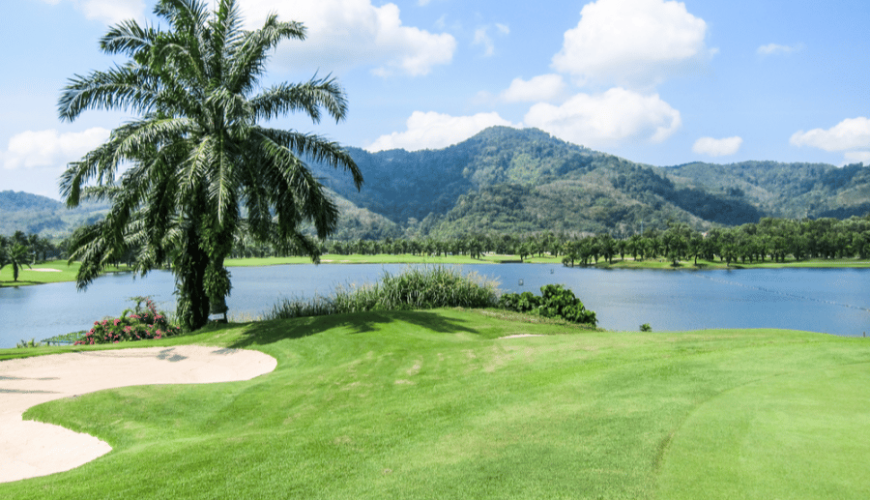 Golf course with a lake and palm trees in the background
