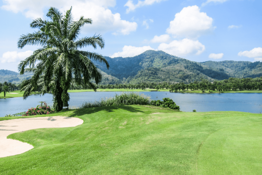 Golf course with a lake and palm trees in the background