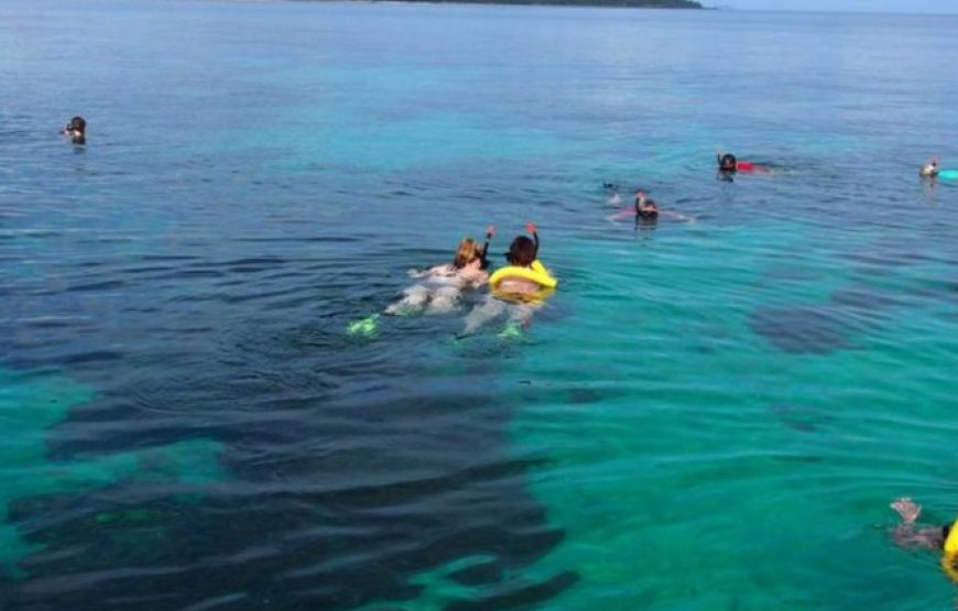 ‘Locals’ Island Tour