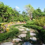 A garden with colorful flowers and a stone path.