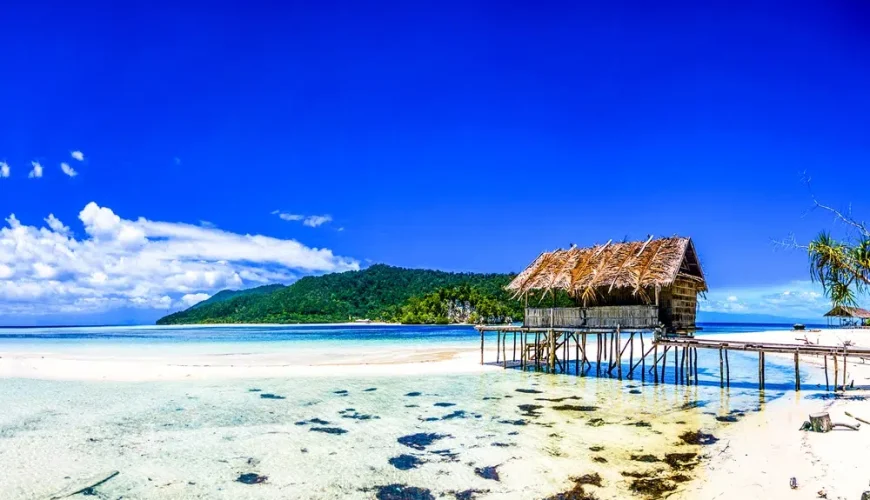 Phuket’s Best Beach Huts Simba Sea Trips