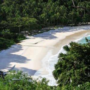 Visit the Serene Freedom Beach Simba Sea Trips