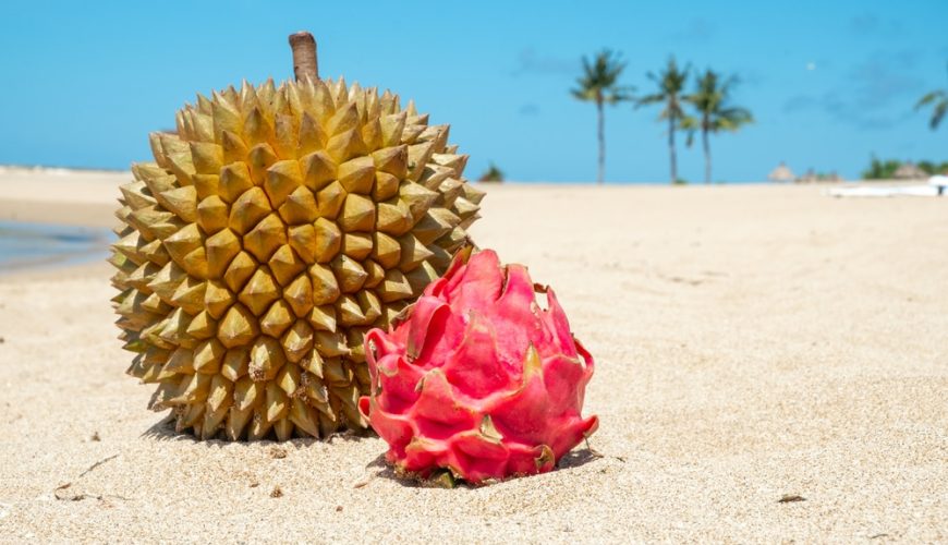 Durian and dragon fruit on the sand at the shore.