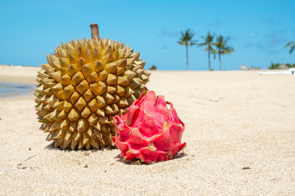 Durian and dragon fruit on the sand at the shore.