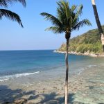 A scenic ocean view featuring a sandy beach and palm trees.