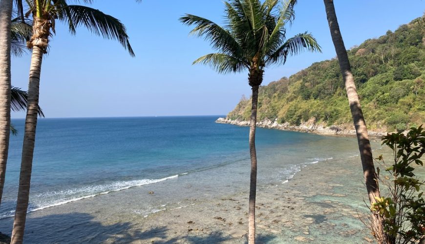 A scenic ocean view featuring a sandy beach and palm trees.