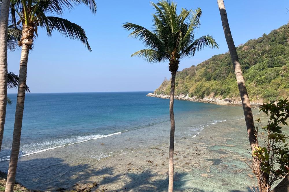 A scenic ocean view featuring a sandy beach and palm trees.
