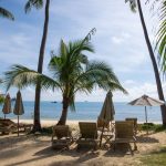 Relaxing beach scene with palm trees and ocean view in Phuket.