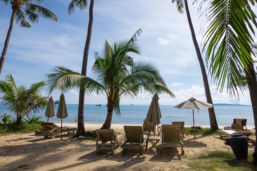 Relaxing beach scene with palm trees and ocean view in Phuket.