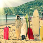 Surfboards at the shore.
