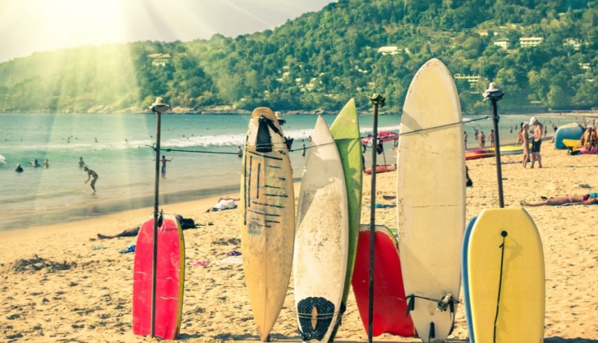 Surfboards at the shore.