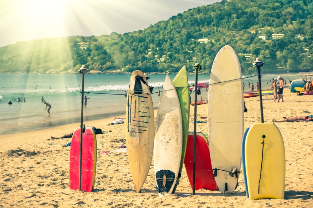 Surfboards at the shore.