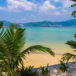 Beautiful beach view with palm trees and clear water