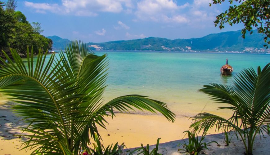 Beautiful beach view with palm trees and clear water