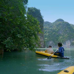 kayaking through the mangrove forests in Phang Nha Bay