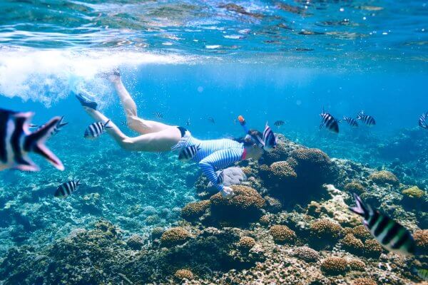 Lady snorkeling at the Phi Phi Islands underwater shot with fish and coral.