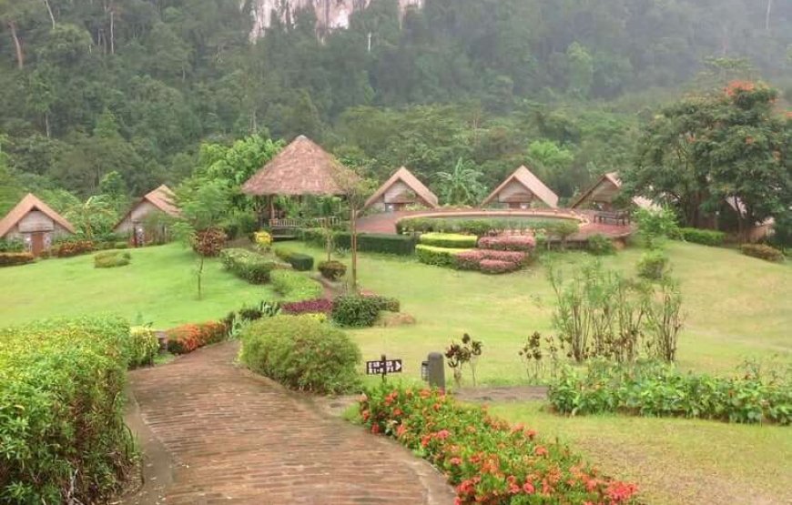 Simba’s Jungle Trip 2 Day 1 Night