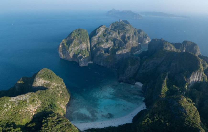 Phi Phi Sunset Shark Tour