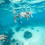 Dive Into Adventure: Snorkeling in Phang Nga Province