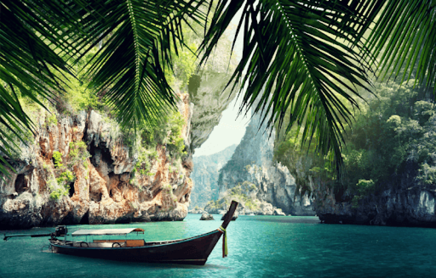 Phi Phi Sunset Shark Tour