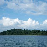 Phi Phi Island Hopping Day Trip