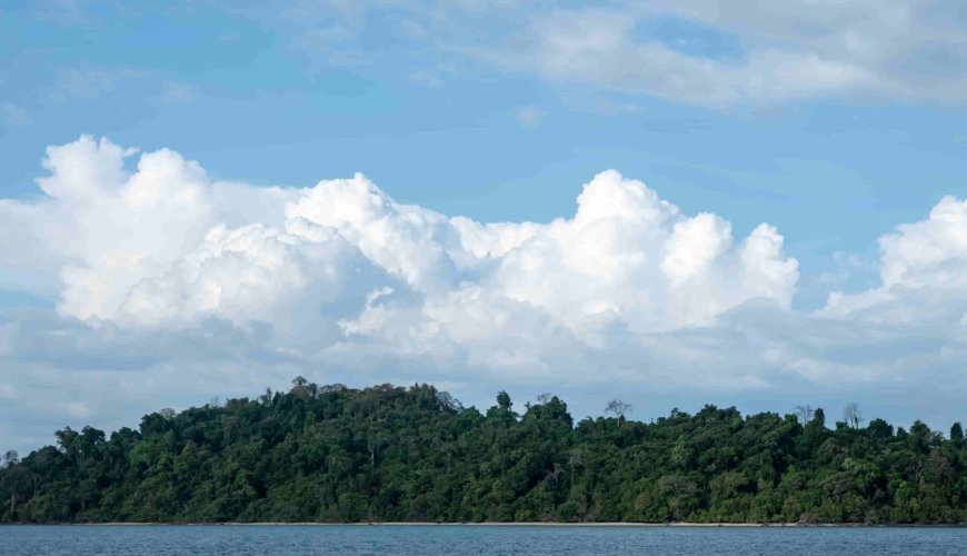 Phi Phi Island Hopping Day Trip